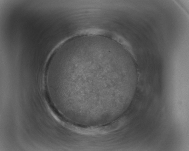 X0000083600012200702091232