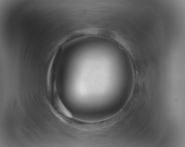 X0000083600013200702091232