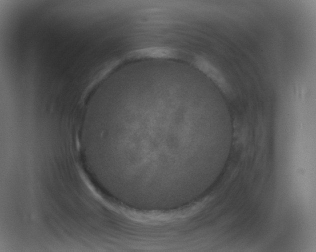 X0000083600014200702091232