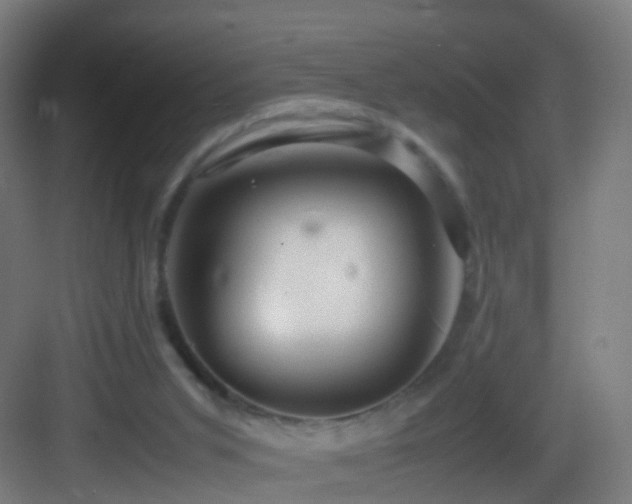 X0000083600015200702091232