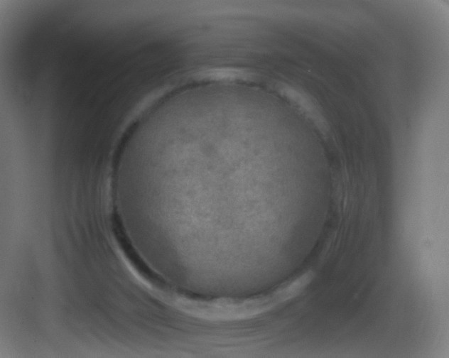 X0000083600016200702091232