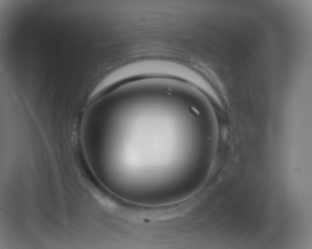 X0000083600017200702091232