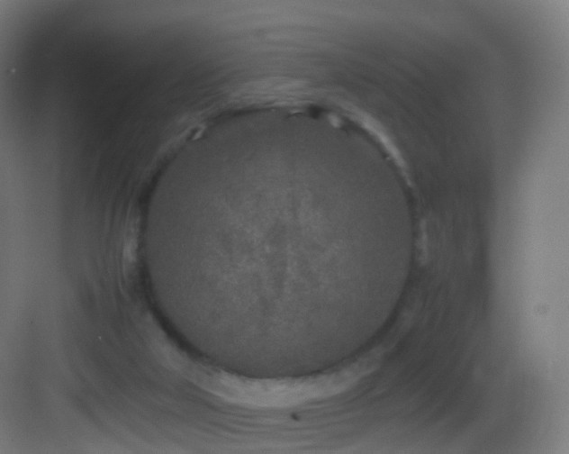 X0000083600018200702091232