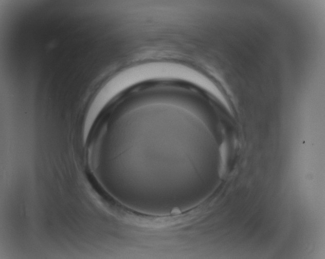 X0000083600019200702091232