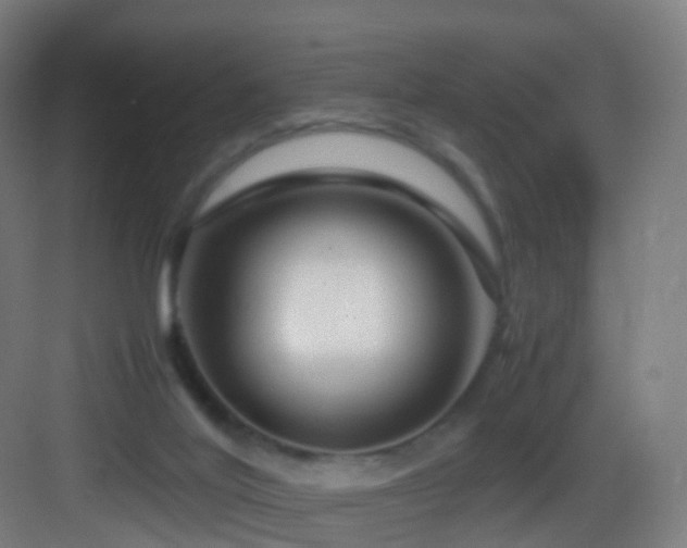 X0000083600020200702091232