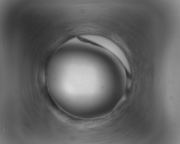 X0000083600021200702091232