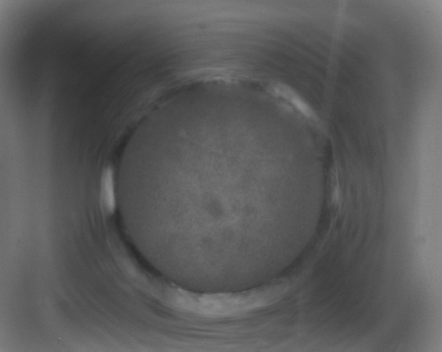 X0000083600022200702091232