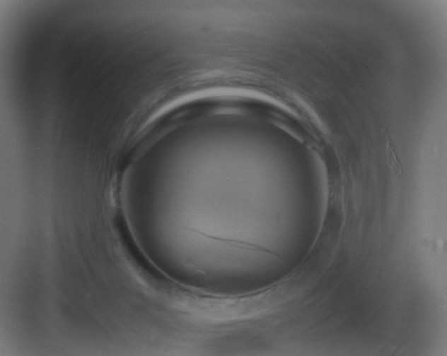 X0000083600023200702091231