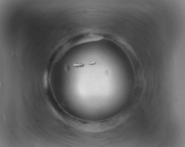 X0000083600024200702091231