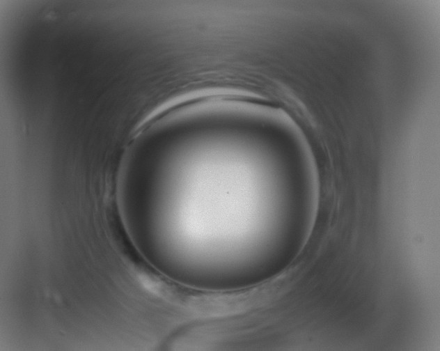 X0000083600025200702091231