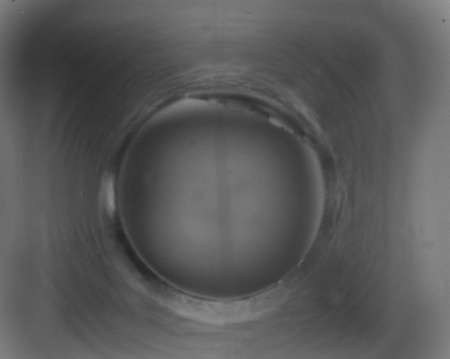 X0000083600027200702091231