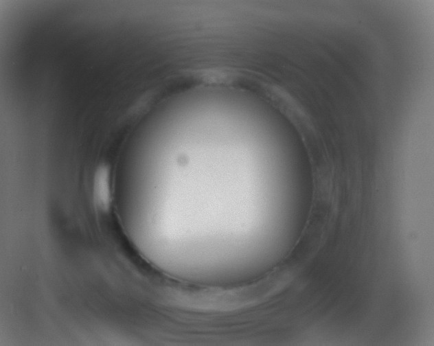 X0000083600028200702091231