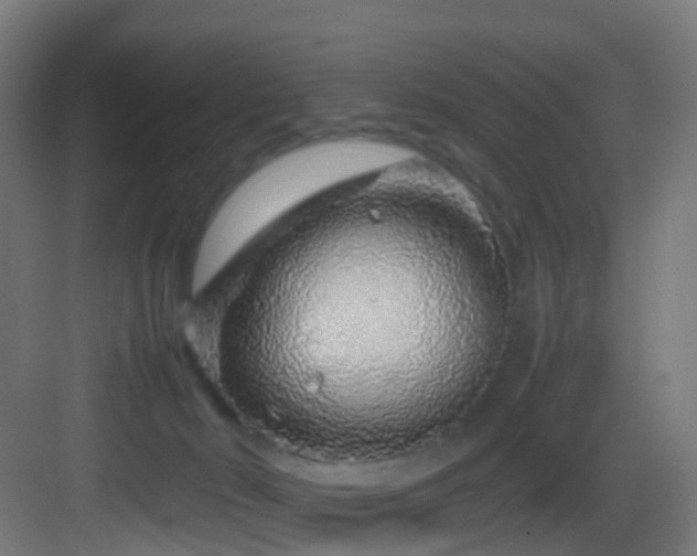 X0000083600030200702091231