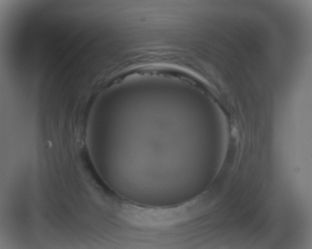 X0000083600031200702091231