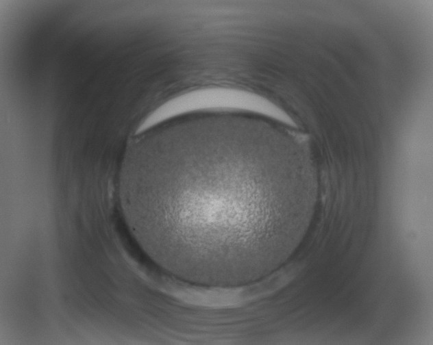 X0000083600032200702091231