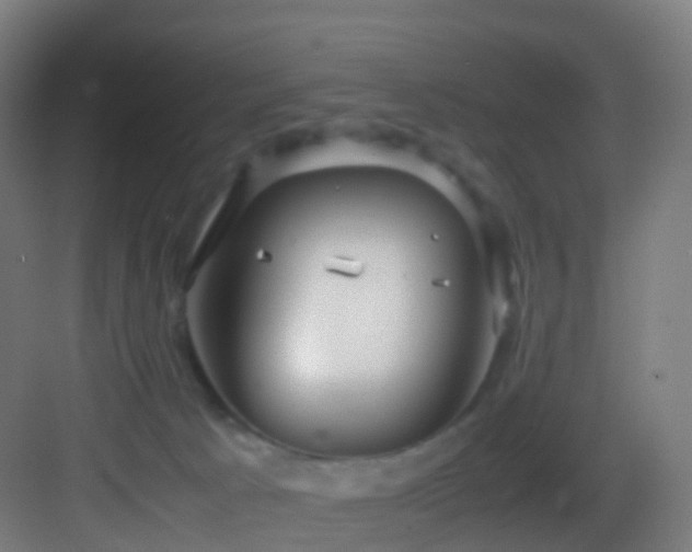 X0000083600033200702091231