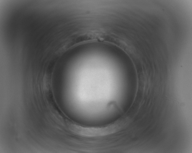 X0000083600034200702091231