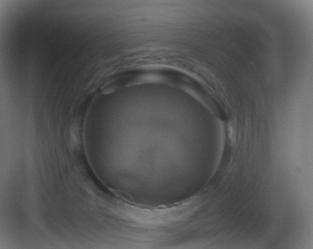 X0000083600035200702091231