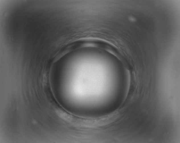 X0000083600037200702091231