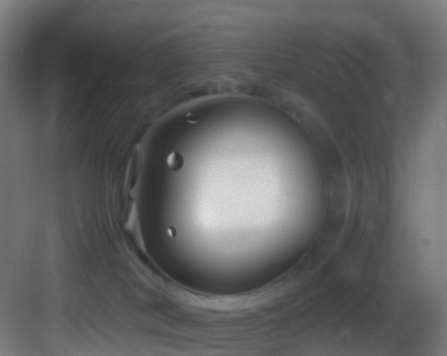 X0000083600038200702091231