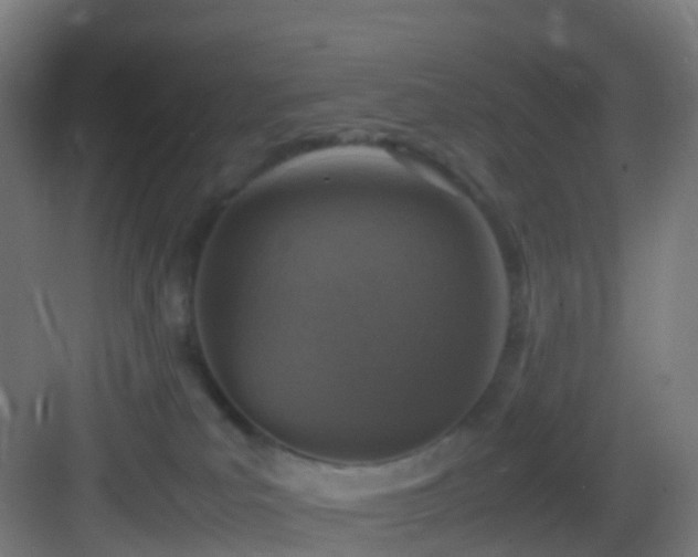 X0000083600039200702091231