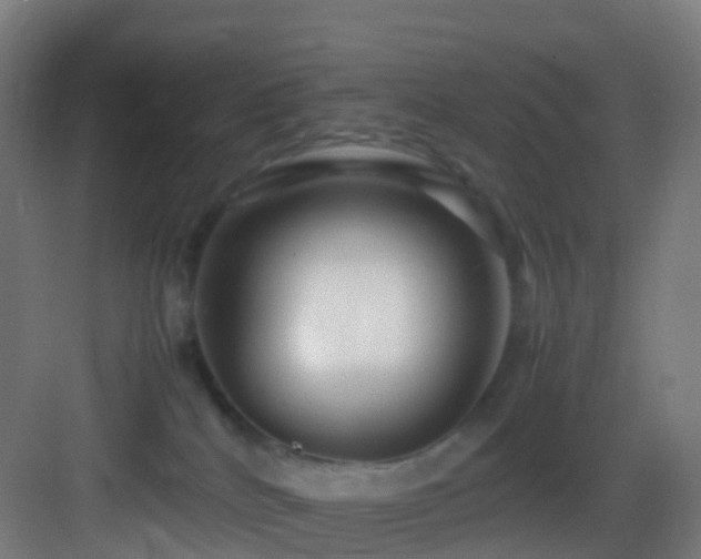 X0000083600040200702091231