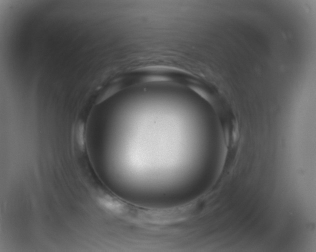 X0000083600041200702091231