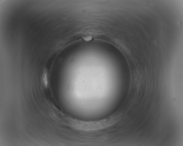 X0000083600042200702091231