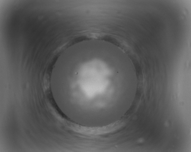 X0000083600043200702091231