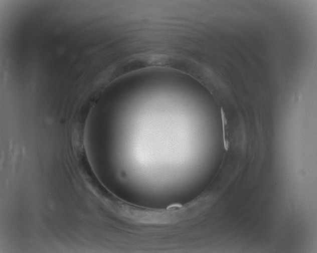 X0000083600044200702091231