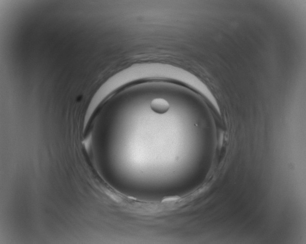 X0000083600045200702091231