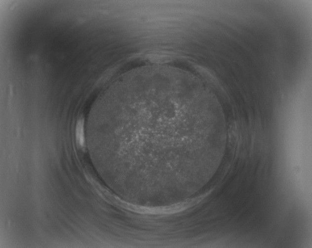 X0000083600046200702091231