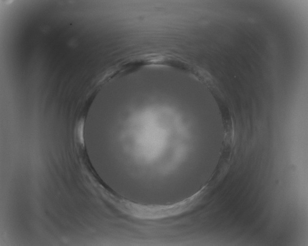 X0000083600047200702091231