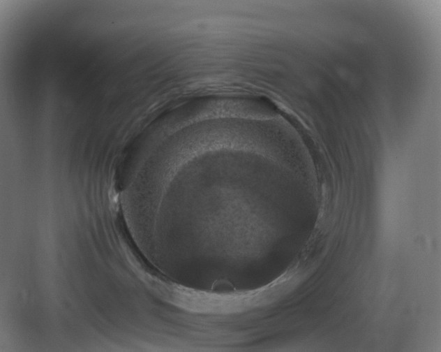 X0000083600048200702091231