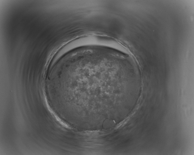 X0000083600049200702091230