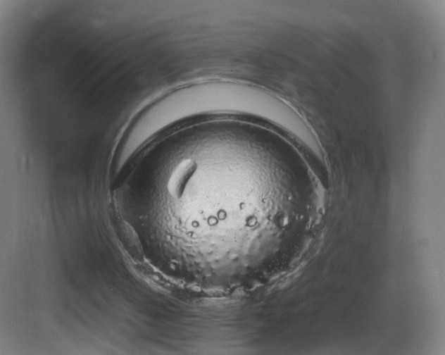 X0000083600050200702091230