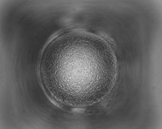 X0000083600051200702091230