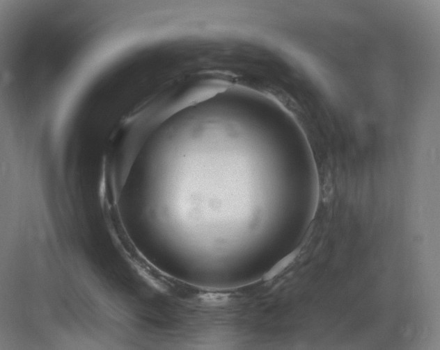 X0000083600052200702091230