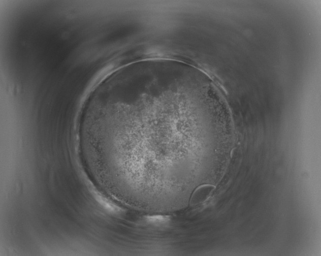 X0000083600053200702091230