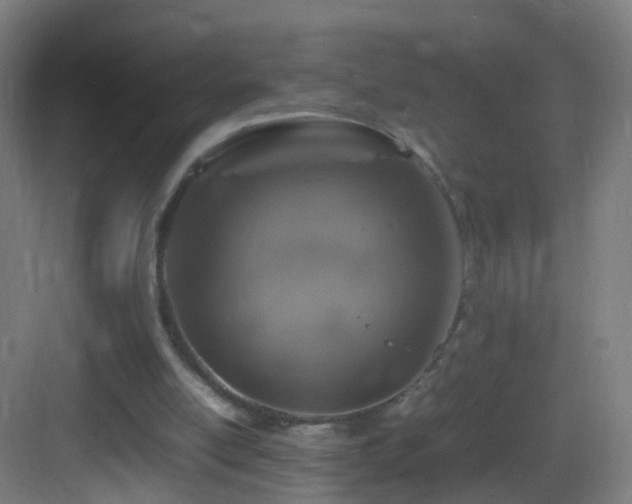 X0000083600054200702091230