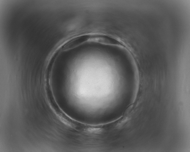 X0000083600055200702091230