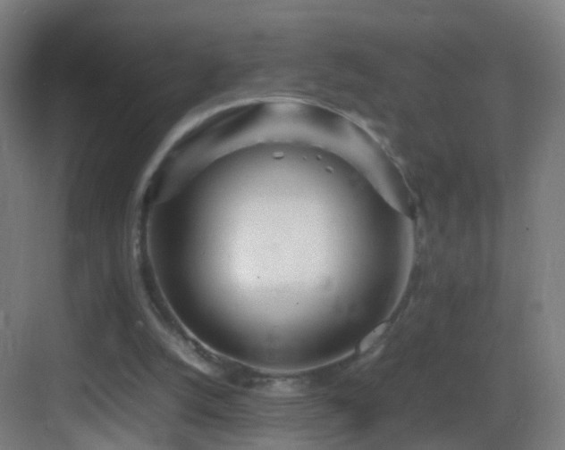 X0000083600056200702091230