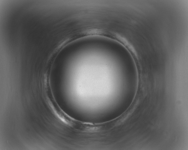 X0000083600057200702091230