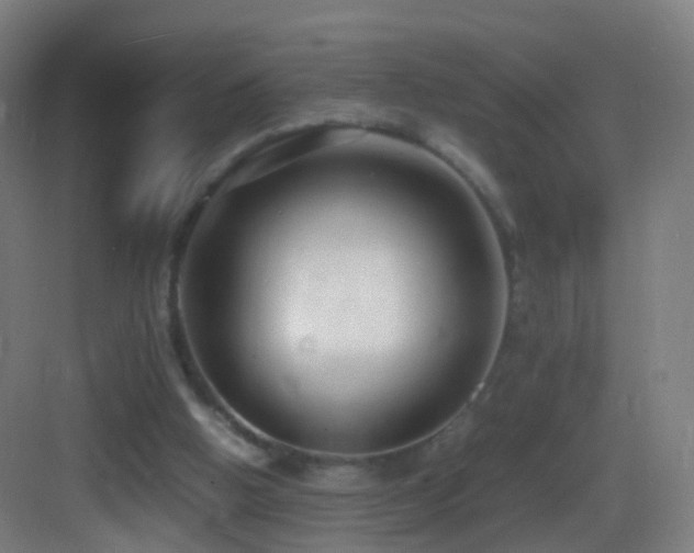 X0000083600058200702091230