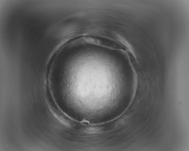 X0000083600059200702091230