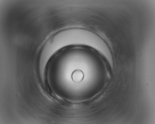 X0000083600060200702091230