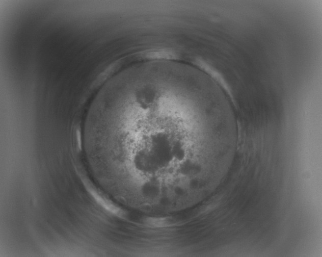 X0000083600061200702091230