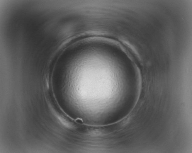 X0000083600062200702091230