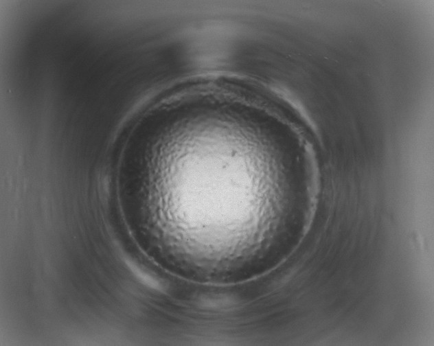 X0000083600063200702091230