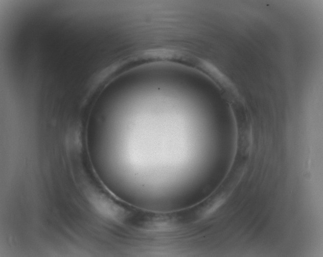 X0000083600064200702091231